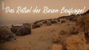 Тайна гигантских птиц